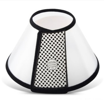 千宠世家 伊丽莎白塑料圈