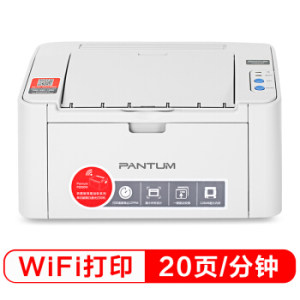 PANTUM 奔图 P2206NW 黑白激光打印机
