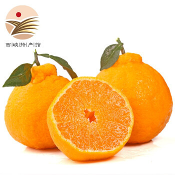 静益乐源 四川不知火丑橘 9斤