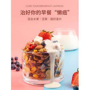 九州树叶 即食水果燕麦片 500g 科学搭配 美味代餐