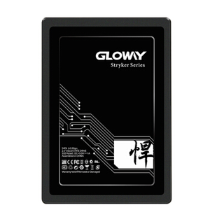 GLOWAY 光威 悍将 SATA3.0固态硬盘 480GB