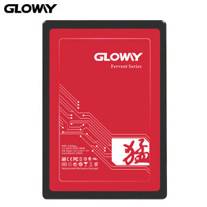 GLOWAY 光威 猛将系列 SATA3 固态硬盘 120GB