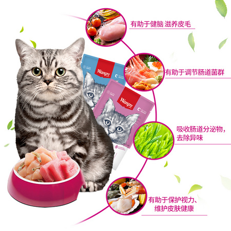 Wanpy 顽皮 宠物妙鲜包 金枪鱼+三文鱼 80g*10包
