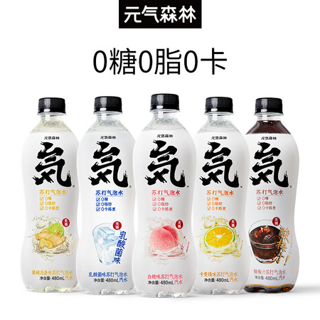 Genki Forest 元気森林 无糖0脂苏打气泡水饮料 480ml*12瓶