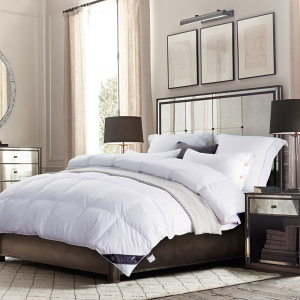 ROYAL 皇朝家私 五星级酒店空调被 3斤