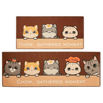 姒桀 可爱卡通防滑吸水地垫 40*60cm