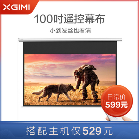 XGIMI 极米 P140S 电动遥控幕布 100英寸