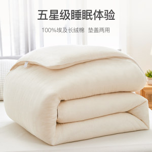 纤惟 埃及长绒棉手工棉被 2020年新棉花 5斤