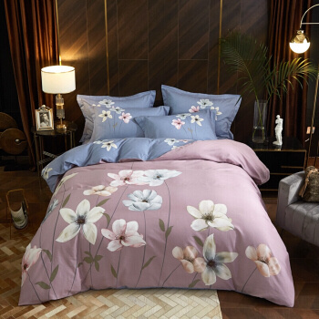 移动专享：Erwin Rommel 长绒棉60支保暖磨毛四件套 1.8m