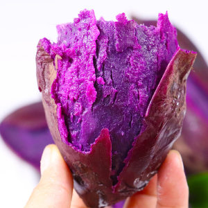 普果诗 现挖新鲜紫薯 10斤