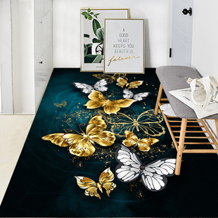 盛鹏 家用防滑地毯 80*130cm