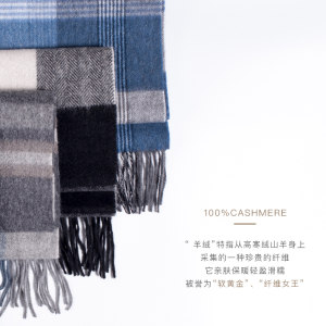 巴宝莉同款 本米 高档A级阿尔巴斯羊绒格子围巾