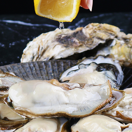 蚝功府 乳山生蚝 5斤 70g以下