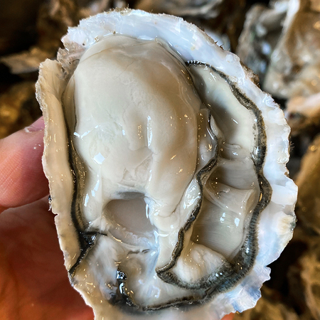 聚划算百亿补贴：wecook 味库海鲜 鲜活乳山生蚝 70-90g/只 带箱5斤