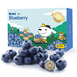 限地区：京觅 智利进口蓝莓 125g*12盒*2件 礼盒包装