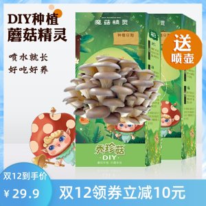魔菇精灵 秀珍菇亲子DIY蘑菇种植魔盒 2盒