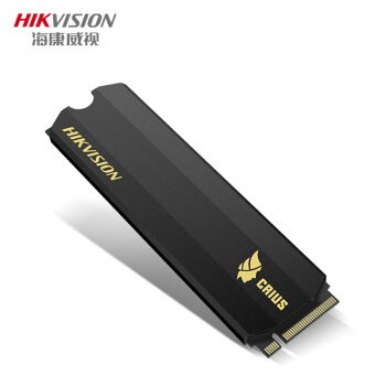 HIKVISION 海康威视 C2000Pro系列 M.2 固态硬盘 256GB