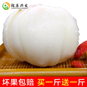 甘肃特产 兰州新鲜百合 两斤