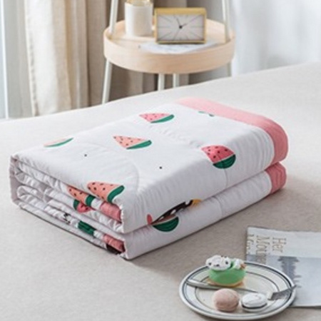 贝思羊 水洗棉空调被 150*200cm 2斤