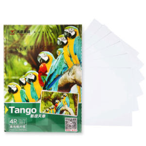 TANGO 天章 新绿天章 4R 6英寸高光面照片纸 230g/㎡ 20张/包 *3件