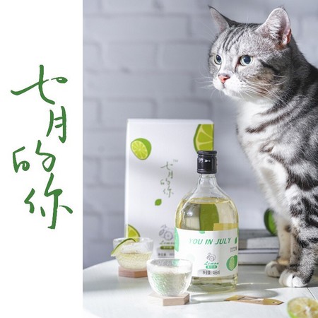 京东PLUS会员：七月的你 青柠酒水果酒 12度低度果酒 485ml *2件 +凑单品