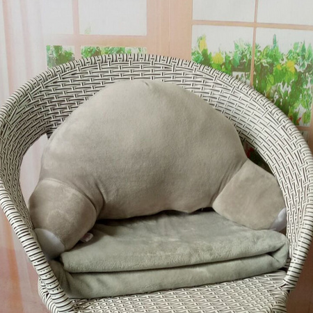 贝宜康 KZ-018 座椅靠枕 55*30cm