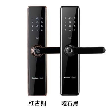 历史低价： kaadas 凯迪仕 TK2 智能指纹锁