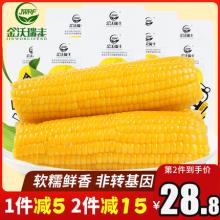 金沃瑞丰 新鲜甜糯粘玉米 真空包装 10根装