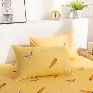 兰娜菲 枕套 一对装 48*74cm