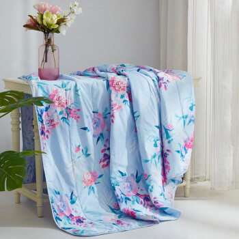 LOVO 乐我家纺 云蕊防螨 夏凉被 200*230cm