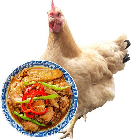 淘穗 农家喂养三黄鸡 800g/只 *3件