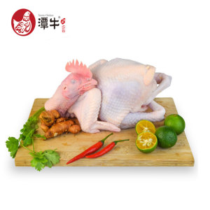 国家地理标志产品 海南文昌 散养大公鸡 2斤/只