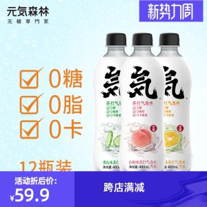 元気森林 0糖0脂0卡 苏打气泡水饮料 480ml*12瓶