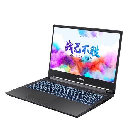 Hasee 神舟 战神Z8-CU7NS 15.6英寸游戏本（i7-10750H、16GB、512GB、RTX2060、144Hz）