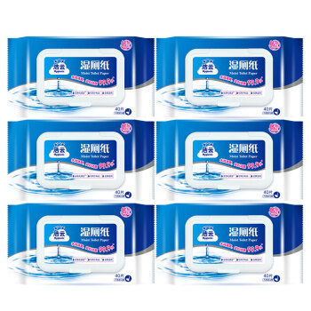 Hygienix 洁云 湿厕纸 40片*6包 *4件