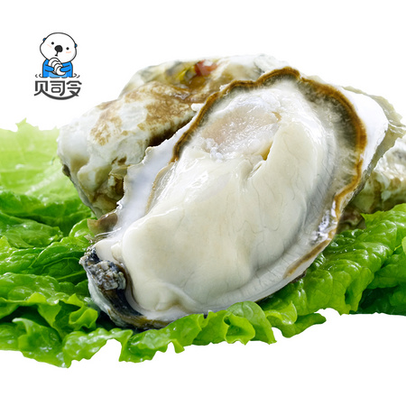 贝司令 乳山生蚝鲜活 L（70g-90g）5斤