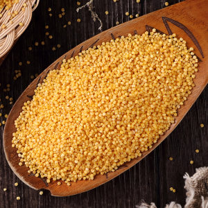 柴火大院 内蒙古黄小米 480g*4袋  米色金黄
