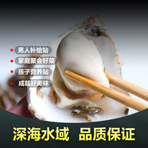 男人的加油站 菜帮 乳山鲜活生蚝 牡蛎 4.5斤