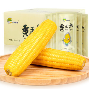新鲜甜玉米真空新鲜现摘 10支