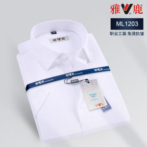 雅鹿 男士免烫抗皱 商务休闲衬衫
