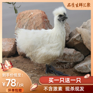 民大农牧 三峡高山散养乌鸡 2只 单只1.8-2斤