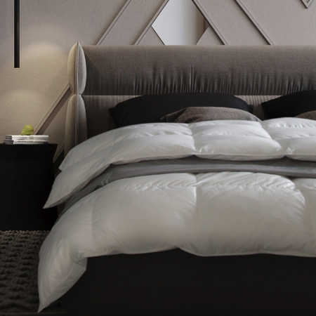 京东PLUS会员： SIDANDA 诗丹娜 羽毛绒被芯 220*240cm （2000g）