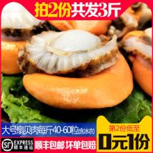 【第2件0元，到手3斤】星渔 新鲜冷冻大号去壳扇贝肉含冰衣