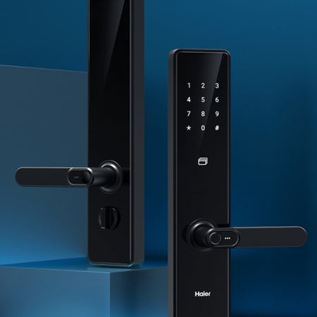 移动专享：Haier 海尔 HFH-20ETM-U9 智能指纹密码锁