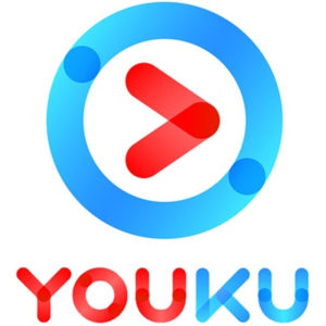 优酷 VIP会员 12个月 官方秒冲