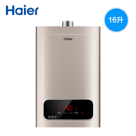 Haier 海尔 JSQ31-16WD5(12T) 16L 燃气热水器
