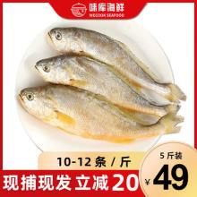 双重优惠！wecook 深海野生小黄鱼 5斤