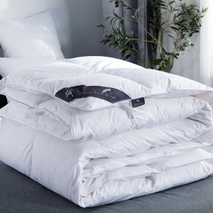 ROYAL 皇朝家私 五星级酒店空调被