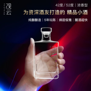 一带一路专用酒 观云 42/52度 5年坛陈 浓香型白酒 200ml