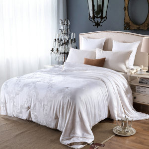 反季清仓 北京奥运会家具供应商 皇朝家私 蚕丝夏凉被 3斤